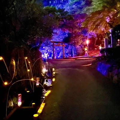 竹灯籠イメージ